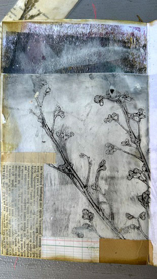 Buch-Illustration mit handgestalteten Elementen
