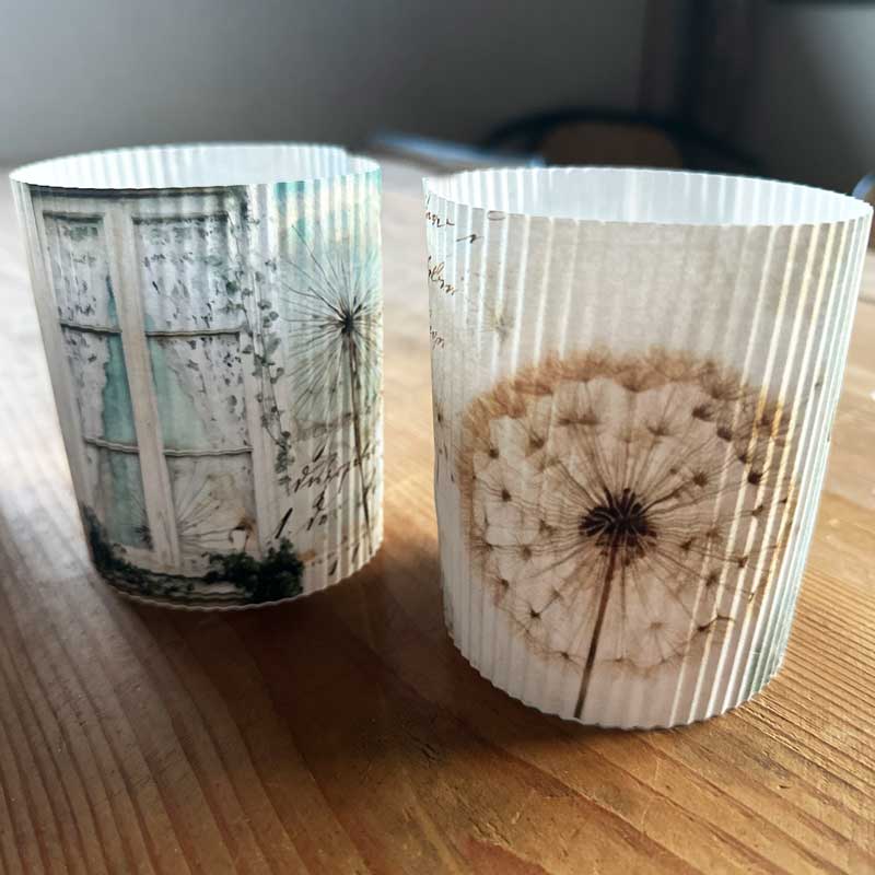 Dandelion – zarte Linien und feine Textur